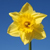 Free Easter Resources